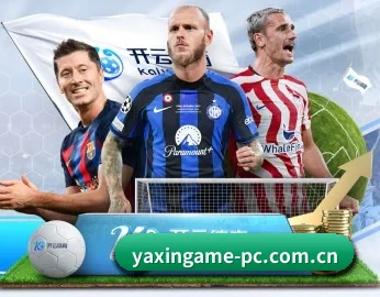 亚新体育 APP 深度功能（yaxin）